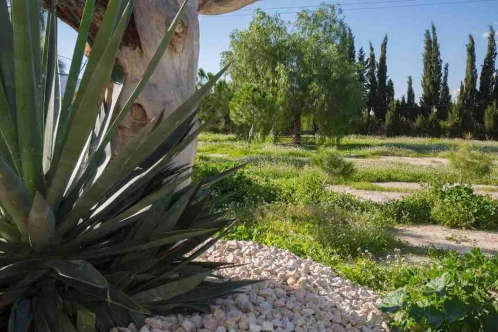 VILLA FINA  Murcia Bagian luar foto